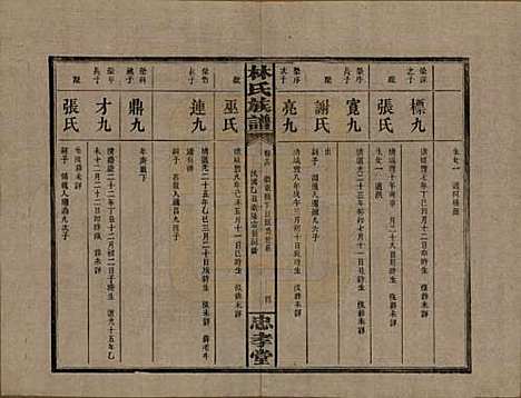 湖南[林姓] 林氏族谱三十一卷 — 民国十五年(1926)_十六.pdf