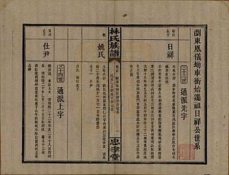 湖南[林姓] 林氏族谱三十一卷 — 民国十五年(1926)_十七.pdf