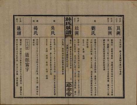 湖南[林姓] 林氏族谱三十一卷 — 民国十五年(1926)_十七.pdf