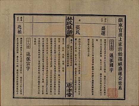 湖南[林姓] 林氏族谱三十一卷 — 民国十五年(1926)_十八.pdf