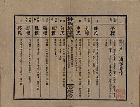 湖南[林姓] 林氏族谱三十一卷 — 民国十五年(1926)_十九.pdf