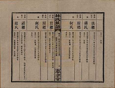 湖南[林姓] 林氏族谱三十一卷 — 民国十五年(1926)_十九.pdf