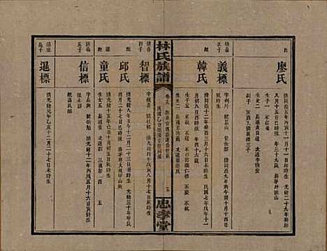 湖南[林姓] 林氏族谱三十一卷 — 民国十五年(1926)_十九.pdf