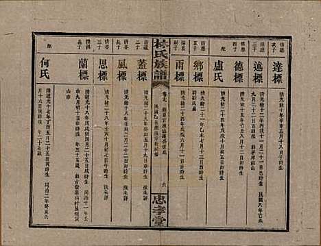 湖南[林姓] 林氏族谱三十一卷 — 民国十五年(1926)_十九.pdf