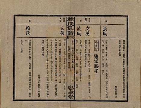 湖南[林姓] 林氏族谱三十一卷 — 民国十五年(1926)_二十.pdf