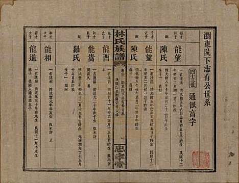 湖南[林姓] 林氏族谱三十一卷 — 民国十五年(1926)_二十一.pdf