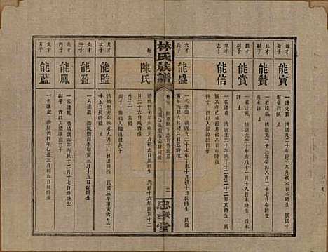 湖南[林姓] 林氏族谱三十一卷 — 民国十五年(1926)_二十一.pdf