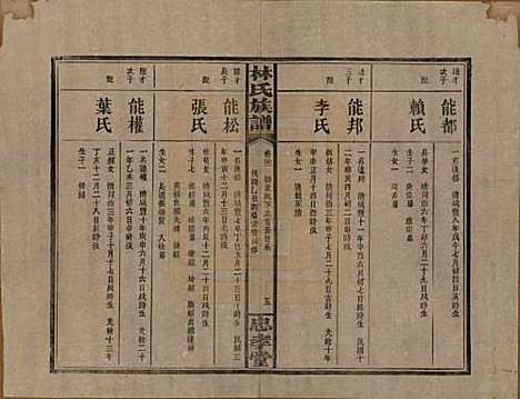 湖南[林姓] 林氏族谱三十一卷 — 民国十五年(1926)_二十一.pdf