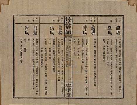 湖南[林姓] 林氏族谱三十一卷 — 民国十五年(1926)_二十一.pdf