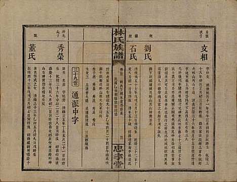 湖南[林姓] 林氏族谱三十一卷 — 民国十五年(1926)_二十二.pdf