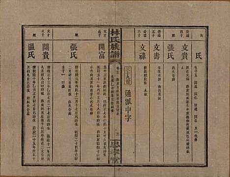 湖南[林姓] 林氏族谱三十一卷 — 民国十五年(1926)_二十三.pdf