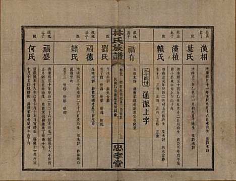 湖南[林姓] 林氏族谱三十一卷 — 民国十五年(1926)_二十九.pdf