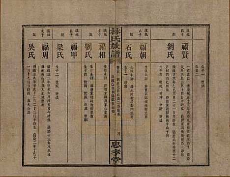 湖南[林姓] 林氏族谱三十一卷 — 民国十五年(1926)_二十九.pdf