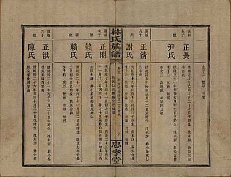 湖南[林姓] 林氏族谱三十一卷 — 民国十五年(1926)_二十九.pdf