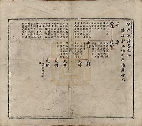 中国[林姓] 林氏宗谱三卷 — 清光绪四年（1878）_三.pdf