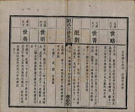 湖南[刘姓] 刘氏六修族谱四十卷 — 清光绪八年（1882）_二十.pdf