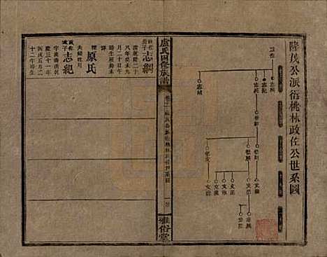 湖南[卢姓] 卢氏四修族谱十九卷卷首一卷 — 民国四年（1915）_十一.pdf