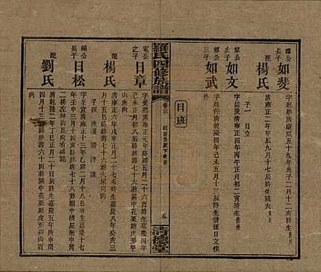 湖南[罗姓] 罗氏四修族谱 — 民国20年[1931]_二十二.pdf