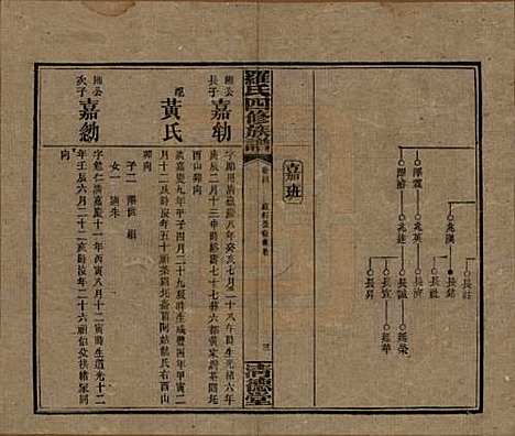 湖南[罗姓] 罗氏四修族谱 — 民国20年[1931]_二十四.pdf