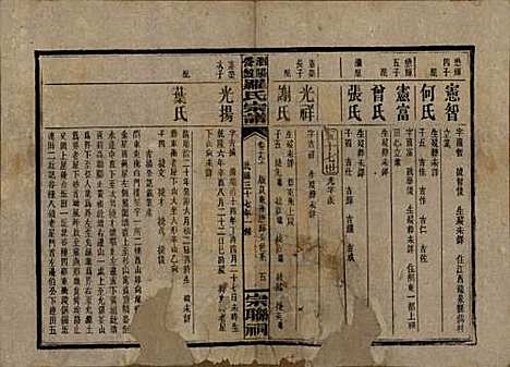 湖南[罗姓] 浏阳营盘罗氏宗谱 — 民国37年(1948)_十九.pdf