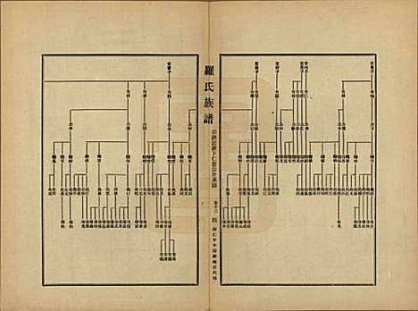 贵州[罗姓] 罗氏族谱十二卷 — 民国三十年（1941）_十二.pdf