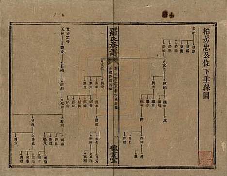 湖南[罗姓] 罗氏族谱 — 清光绪29年[1903]_七.pdf