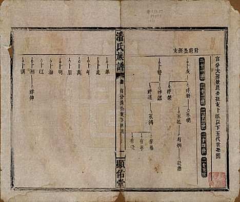 湖南[潘姓] 潘氏族谱 — 清光绪21年[1895]_十一.pdf