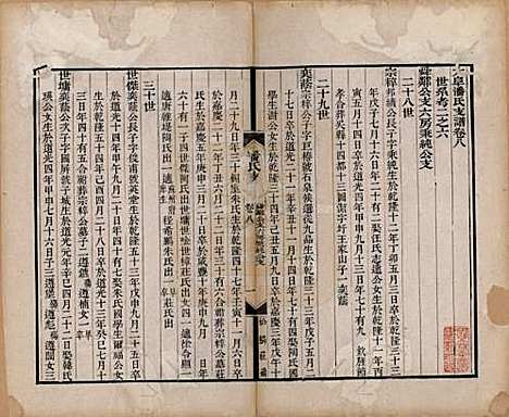 安徽[潘姓] 大阜潘氏支谱二十四卷首一卷 — 清同治八年（1869）_八.pdf