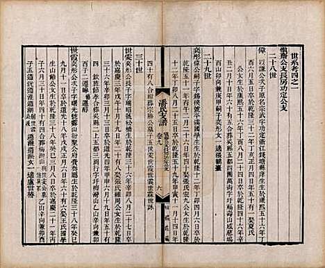 安徽[潘姓] 大阜潘氏支谱二十四卷首一卷 — 清同治八年（1869）_九.pdf