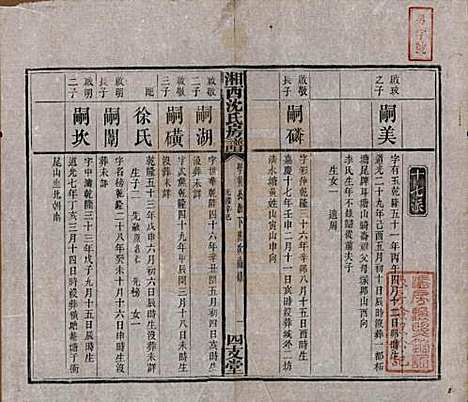 湖南[沈姓] 沈氏房谱不分卷 — 清光绪七年（1881）_九.pdf