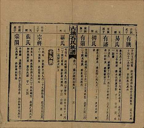 湖南[石姓] 古塘石氏族谱 — 民国20年（1931）_四十六.pdf