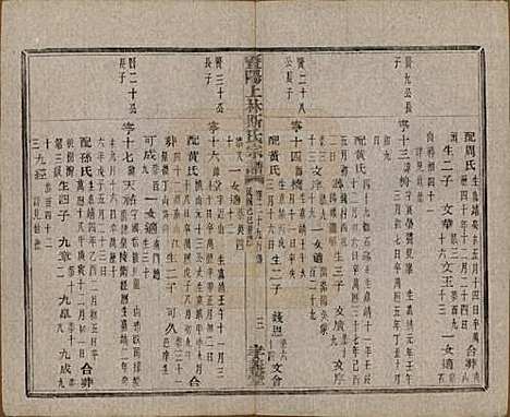 江苏[斯姓] 暨阳上林斯氏宗谱六十八卷 — 民国十八年（1929）_二十九.pdf