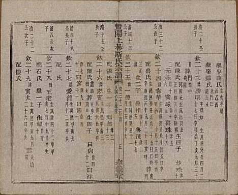 江苏[斯姓] 暨阳上林斯氏宗谱六十八卷 — 民国十八年（1929）_三十二.pdf