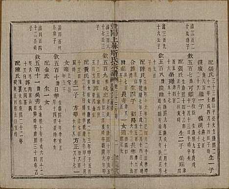 江苏[斯姓] 暨阳上林斯氏宗谱六十八卷 — 民国十八年（1929）_三十三.pdf