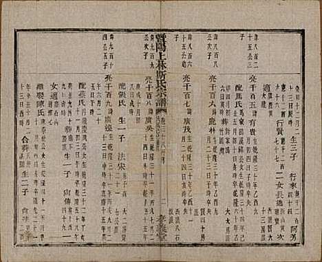 江苏[斯姓] 暨阳上林斯氏宗谱六十八卷 — 民国十八年（1929）_三十八.pdf