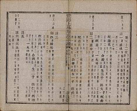 江苏[斯姓] 暨阳上林斯氏宗谱六十八卷 — 民国十八年（1929）_四十三.pdf