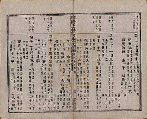 江苏[斯姓] 暨阳上林斯氏宗谱六十八卷 — 民国十八年（1929）_四十五.pdf