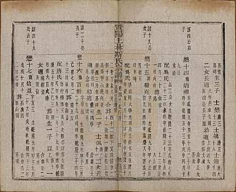 江苏[斯姓] 暨阳上林斯氏宗谱六十八卷 — 民国十八年（1929）_四十七.pdf