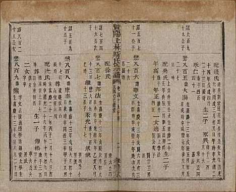 江苏[斯姓] 暨阳上林斯氏宗谱六十八卷 — 民国十八年（1929）_四十九.pdf