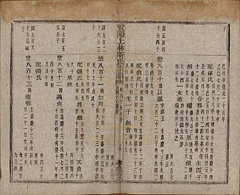 江苏[斯姓] 暨阳上林斯氏宗谱六十八卷 — 民国十八年（1929）_四十九.pdf