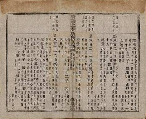 江苏[斯姓] 暨阳上林斯氏宗谱六十八卷 — 民国十八年（1929）_四十九.pdf