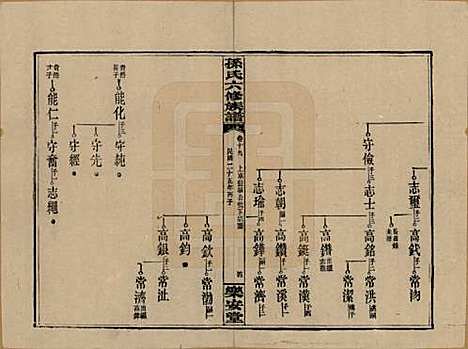 湖南[孙姓] 孙氏六修族谱 — 民国25年(1936)_十九.pdf