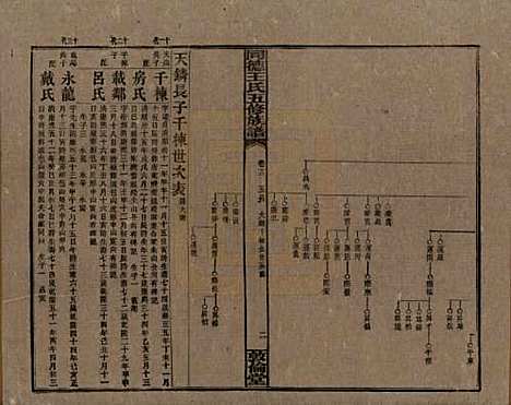 湖南[王姓] 同德王氏五修族谱 — 民国18年（1929）_十二.pdf