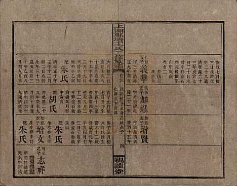 湖南[王姓] 湘乡苏塘王氏三修族谱 — 民国19年（1930）_二十八.pdf