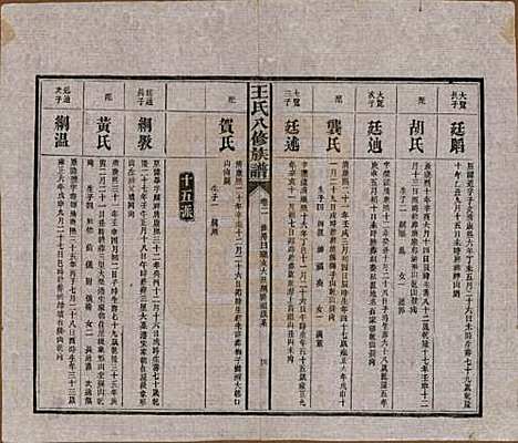 湖南[王姓] 王氏八修族谱 — 民国35年（1946）_二.pdf