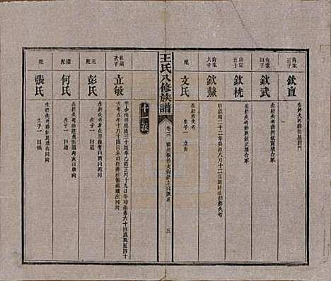 湖南[王姓] 王氏八修族谱 — 民国35年（1946）_三.pdf