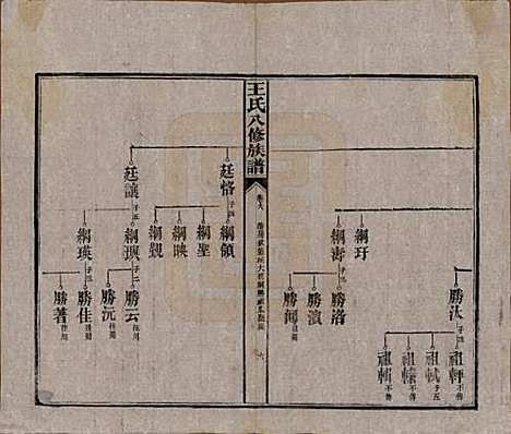 湖南[王姓] 王氏八修族谱 — 民国35年（1946）_六.pdf