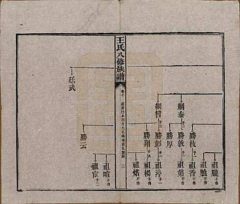 湖南[王姓] 王氏八修族谱 — 民国35年（1946）_十.pdf