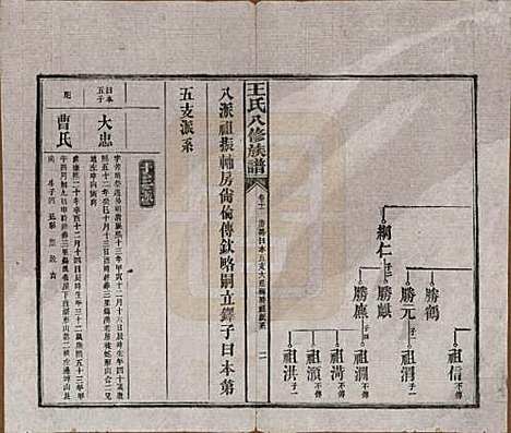 湖南[王姓] 王氏八修族谱 — 民国35年（1946）_十一.pdf