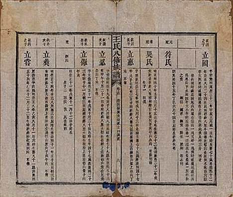 湖南[王姓] 王氏八修族谱 — 民国35年（1946）_十三.pdf